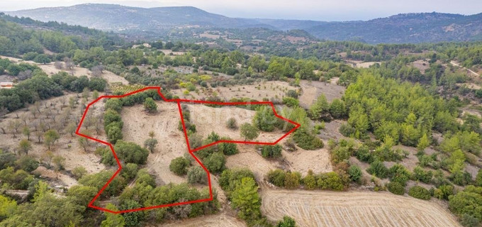 Landwirtschaftliches Grundstück in Paphos zu verkaufen