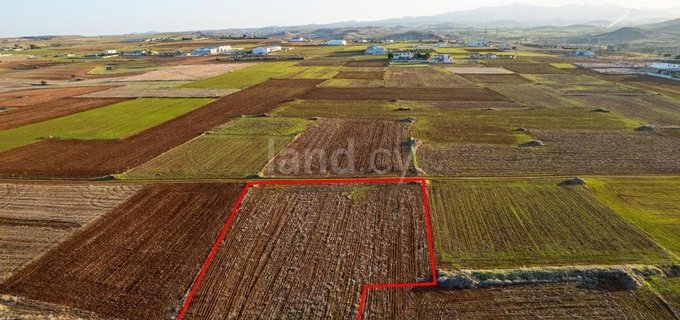 Plot for sale in Nicosia