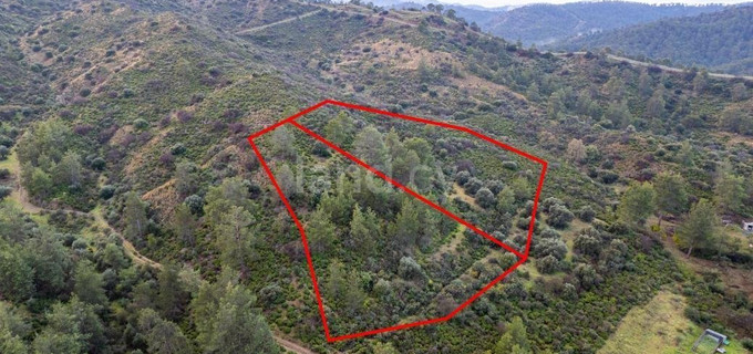 Plot for sale in Nicosia