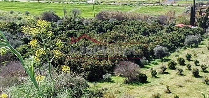 Landwirtschaftliches Baugebiet in Larnaca zu verkaufen