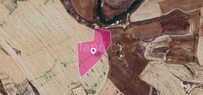 Landwirtschaftliches Baugebiet in Nicosia zu verkaufen