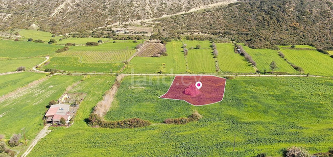 Campo turístico a la venta en Limassol