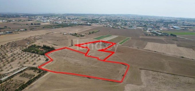 Agricultural plot for sale in Larnaca