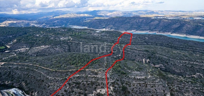 Agricultural plot for sale in Limassol