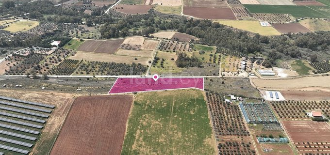 Agricultural field for sale in Nicosia