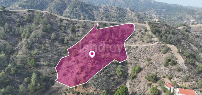 Agricultural field for sale in Nicosia