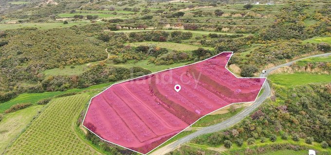 Campo agrícola a la venta en Limassol