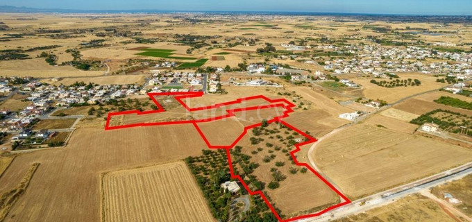 Parcela residencial a la venta en Avgorou