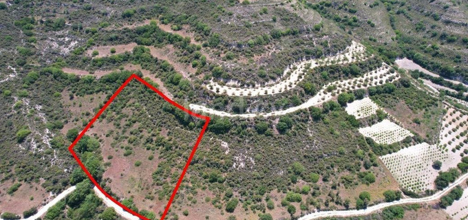 Agricultural plot for sale in Limassol