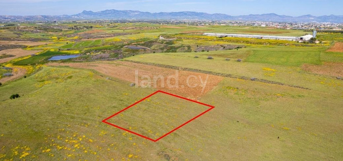 Agricultural plot for sale in Nicosia