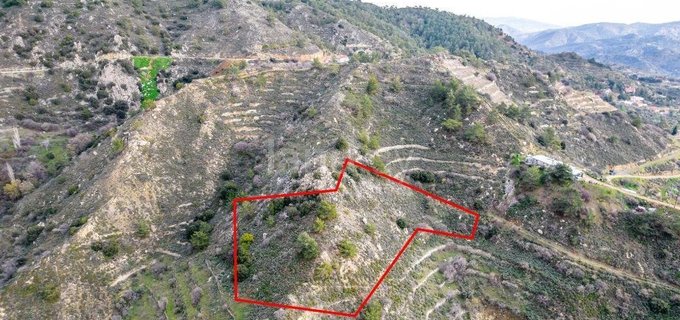 Agricultural plot for sale in Limassol