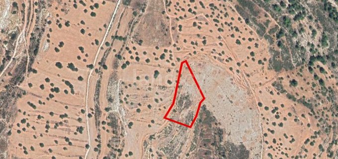 Landwirtschaftliches Grundstück in Limassol zu verkaufen