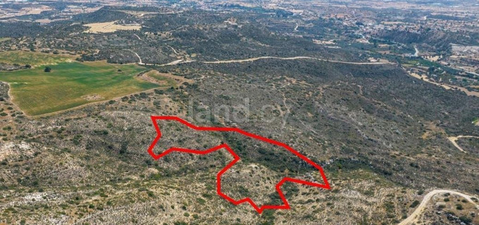 Agricultural plot for sale in Larnaca