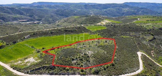 Parcelle agricole à vendre à Paphos