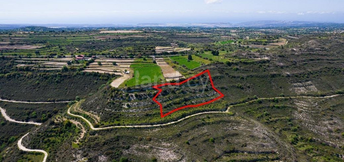 Parcelle agricole à vendre à Limassol