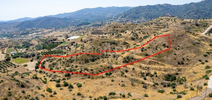 Agricultural plot for sale in Limassol