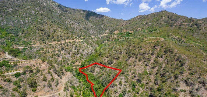 Agricultural plot for sale in Limassol