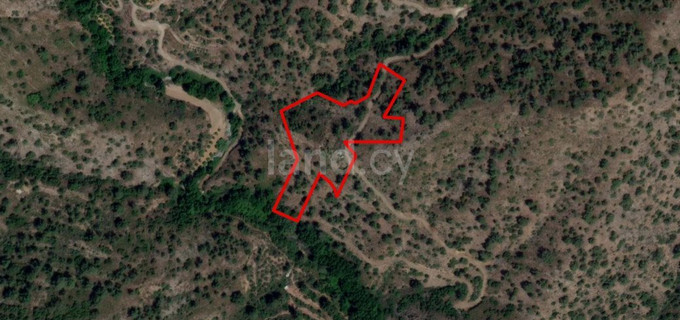 Agricultural plot for sale in Limassol