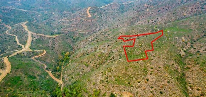 Landwirtschaftliches Grundstück in Nicosia zu verkaufen