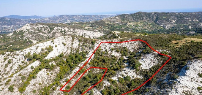 Agricultural field for sale in Limassol