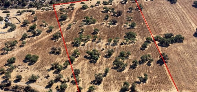 Plot for sale in Paphos