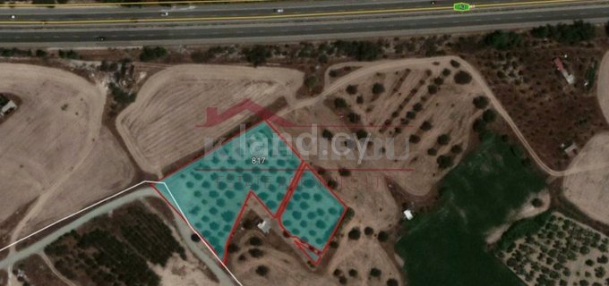 Parcela agrícola a la venta en Larnaca