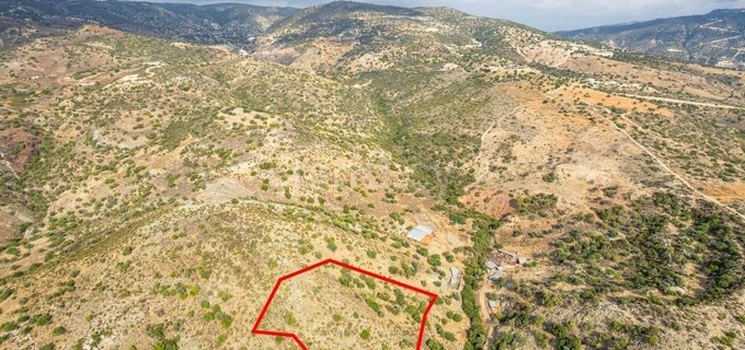 Plot for sale in Paphos