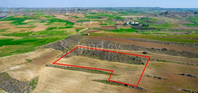 Plot for sale in Nicosia