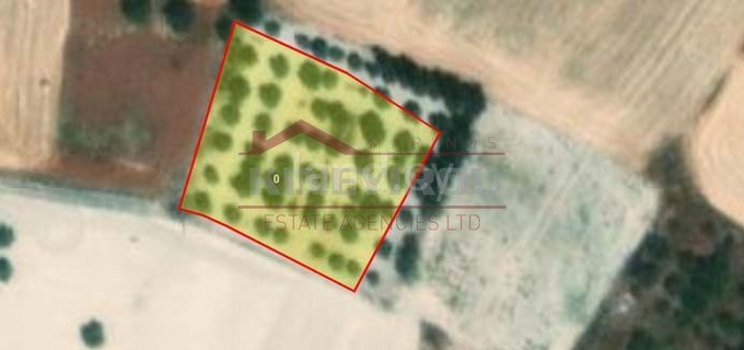 Agricultural field for sale in Larnaca