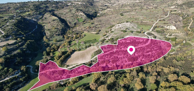 Field for sale in Nicosia