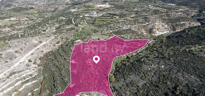 Field for sale in Nicosia