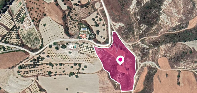 Field for sale in Nicosia