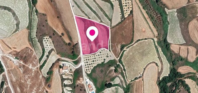 Field for sale in Nicosia