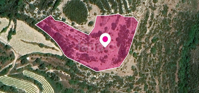 Campo a la venta en Nicosia