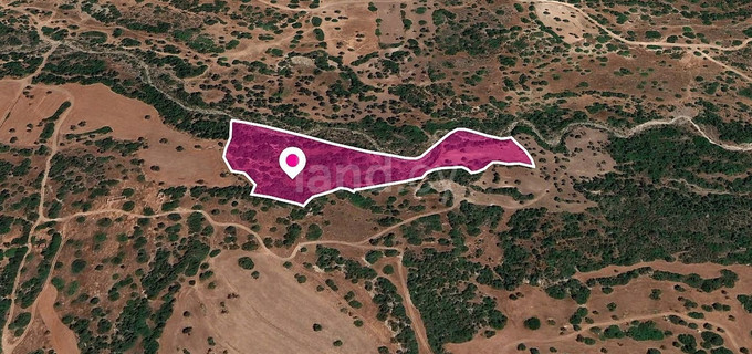 Campo a la venta en Nicosia