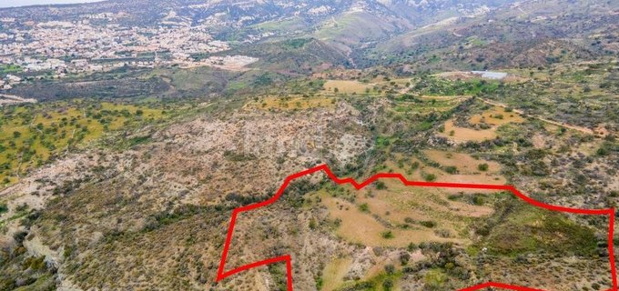 Agricultural plot for sale in Paphos