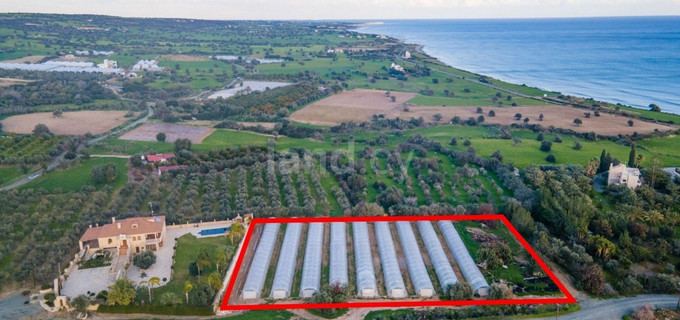 Agricultural plot for sale in Larnaca