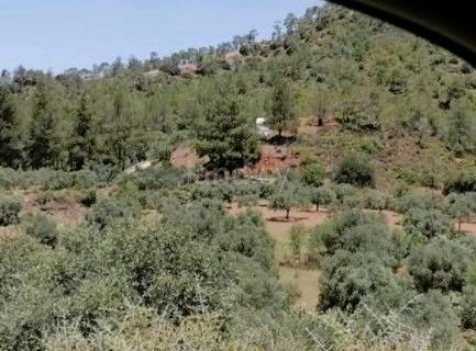 Landwirtschaftliches Baugebiet in Nicosia zu verkaufen