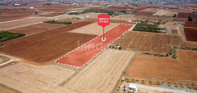 Terrain agricole à vendre à Avgorou