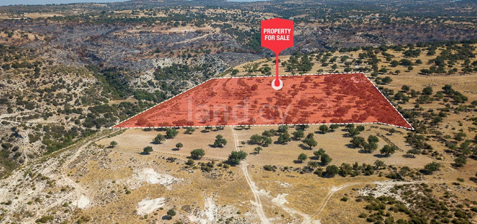 Agricultural field for sale in Limassol