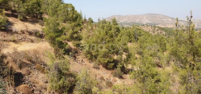 Landwirtschaftliches Baugebiet in Nicosia zu verkaufen