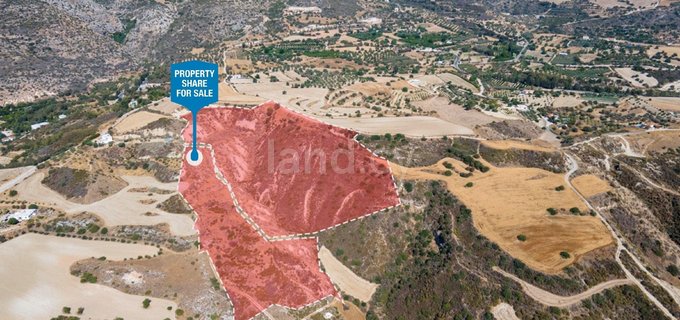 Agricultural field for sale in Paphos