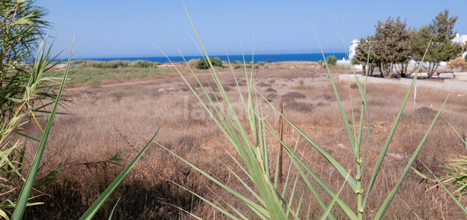 Τουριστικό οικόπεδο προς πώληση - Κάππαρη