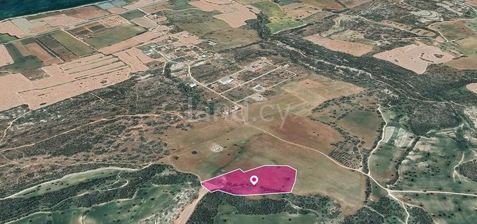 Agricultural field for sale in Larnaca