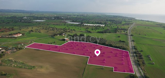 Agricultural field for sale in Larnaca