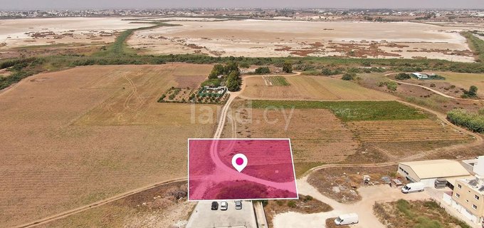 Residential field for sale in Paralimni