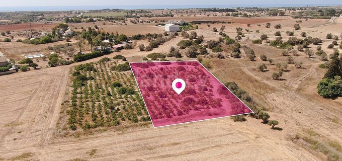 Residential field for sale in Larnaca