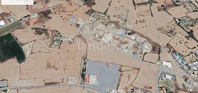 Parcela agrícola a la venta en Larnaca