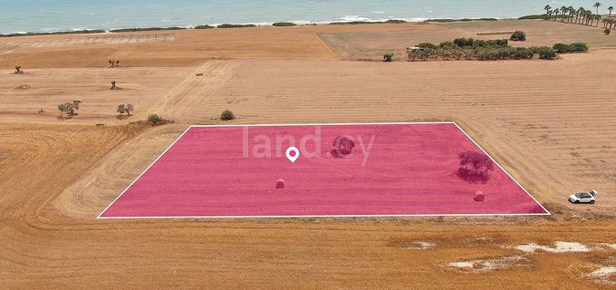 Touristic field for sale in Larnaca