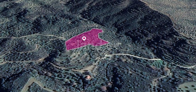 Campo agrícola a la venta en Larnaca